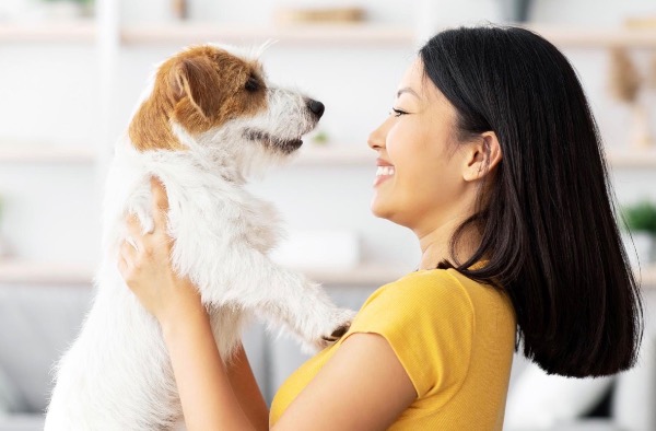 [MAX] なぜ特定の犬種は他より長生きするのか？そして私たちはいかにして寿命を延ばせるのか？